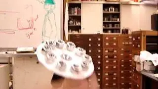 Truck wheel reverse illusion: original 6deg lug nuts pattern