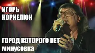 ИГОРЬ КОРНЕЛЮК. ГОРОД КОТОРОГО НЕТ. минусовка