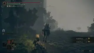 Elden Ring Easy Erdleaf Flower farm non DLC beginning of game