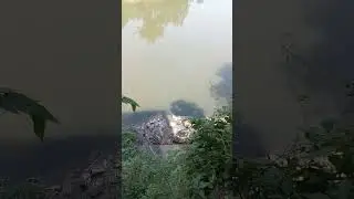 ikan nya recall recall #spotmancing #spotmancingbekasi #spotmancingpinggiran