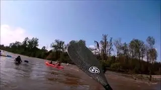 Macleay River paddle. Torooka to Temagog January 25th 2020