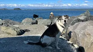 Humboldt Bay Jetty Fishing 6-17-22