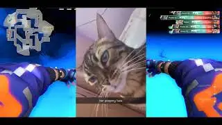 valorant cat edit