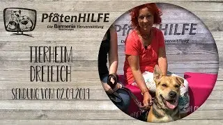 🐾 Pfotenhilfe - Die Barmenia Tiervermittlung 🐾 grüßt aus dem Tierheim von Dreieich