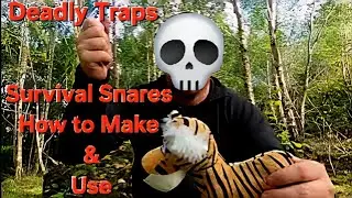 Build a Snare Trap in Minutes &ndash; Survival Skills