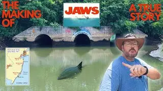 The Real-Life Inspiration Behind JAWS: Tales of New Jersey's Shark-infested Waters!