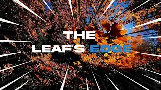 Deep in the Jungle v.1 | FPV Slow & Proximity | The Leafs Edge