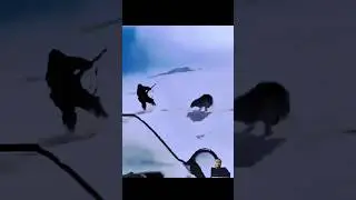 I saved my friend from a Wolf attack  😮 #trending #youtubeshorts #wolfattack
