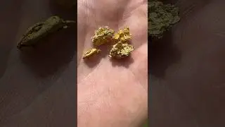 Metal Detecting Gold Nuggets in Northern Territory Australia 🇦🇺 #goldprospecting #goldmetaldetector