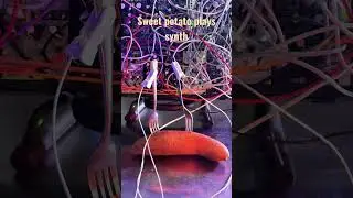 Changes in electrical are converted to control voltage for a #modularsynth #synth #eurorack