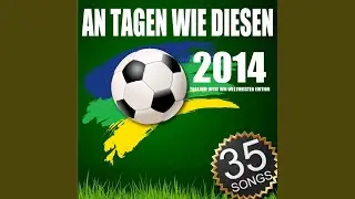 Stern des Südens (2013 Sieger Version)