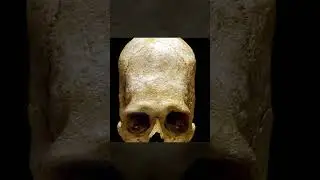 The Mysterious Alien-Like Skull Discovered in Peru | Unexplained #shortsvideo #facts #alien