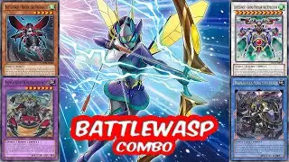 BATTLEWASP INSECT COMBO 🐝 (Scary Moth & Destroy 7 Cards) [Oct 2024]