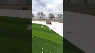 Synthetic turf baseball field