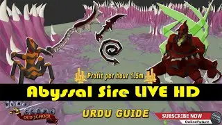 │LIVE│Abyssal Sire Pet Hunting 