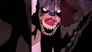 Собака-призрак #ужасы #шорты