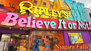 Shrunken Heads & Giant Men: Ripley's Tour, Believe It Or Not