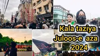 Kala taziya| alvidai juloos| Delhi juloos 2024| kisa zehra|