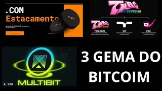 TOP 3 TOKENS DA REDE BRC 20 TRAC, MULTIBIT ,BR20.COM