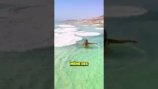 La mer morte