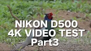 NIKON D500 4K VIDEO TEST Part3