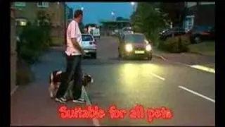 Flashing Dog Collar Pet Safety Blinkers