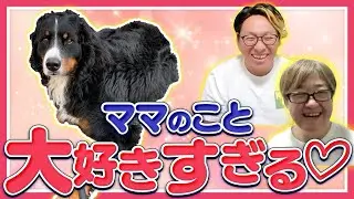 ママ大好ワンチャンに不満はないのか聞いてみた🐶