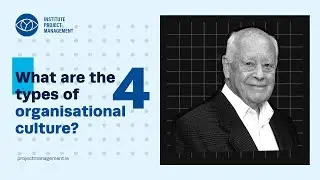 Organisational Culture | What are the 4 types of organisational culture?