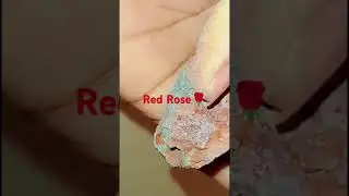 360 Rs kg Hurry Up Guy's 🥳 Last 2 Days Offer 💥🥳#ytstudio #ytshorts #ytshortsindia #viralvideo #viral