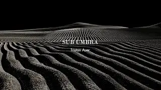 Sub Umbra Collection designed by Tristan Auer | Arte Veneziana