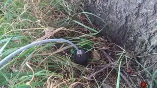 SOUNDS FROM THE SOIL (3 Different Locations)