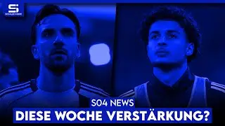 Neuzugang noch diese Woche? 2 Offensivtransfers? Umdenken bei Zalazar? Neuer Hauptsponsor? S04 NEWS