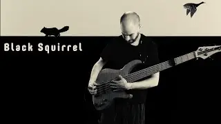 Coop a Loop - Black Squirrel (official video)