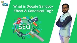 What is google sandbox effect? | What is canonical tag? | Easy Digi Academy