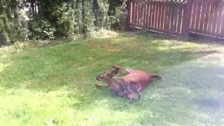 IMG 3940