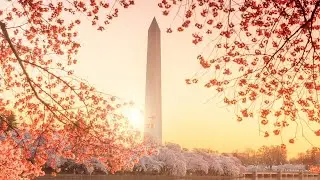 VERIFY | Is 2023 the warmest year in Washington DC history?