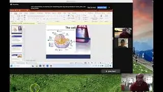 Synchronous Zoom Meetings