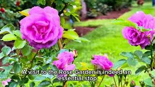 Rose Garden @Elizabeth Park | First Rose garden of USA??