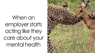 Painfully Hilarious Memes From &ldquo;Just A Typical HR Person&rdquo; | Memes Time