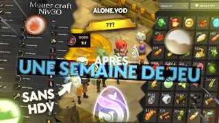 Ce que j'ai obtenu apr&egrave;s une semaine de DOFUS UNITY sans HDV