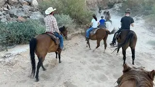 Wild West Horseback Riding Adventures || Las Vegas || 8/3/2025