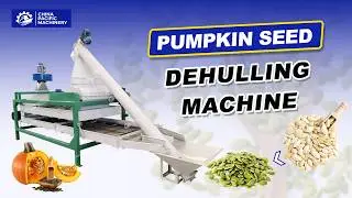 Pumpkin Seed Dehulling Machine|Pumpkin Seed Peeling Peeler Machine|Watermelon Seed Shelling Machine
