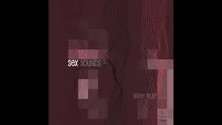 Downsouth-music Presents - Noah Wolf - New Agenda - Original Mix