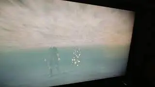 SotC PS4: 2nd Ico Beach Hidden Coin/Enlightment (Underwater)