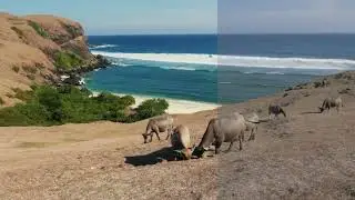 Color Correction & Grading  Before & After  | FATEH Infotech |