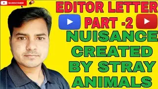 Nuisance Created By Stray Animals