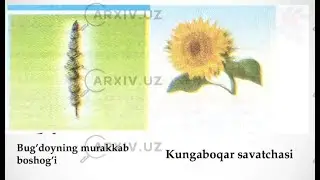 TO`P GUL. BOTANIKA 6-SINF