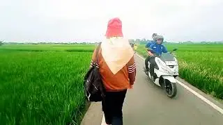 Lembur Pakuan // KDM // viral// suasana lembur pakuan