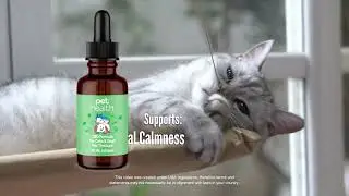 Pet Health CBD Formula for Cats & Dogs Pet Tincture