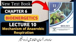 Class 11 Biology New Book 2025 | Chapter 6 Bioenergetics | Mechanism of Anaerobic Respiration |